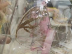 -Summer House夏莫手工坊团建活动(世博源店)