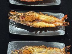 -青岛沙子口国家中心渔港