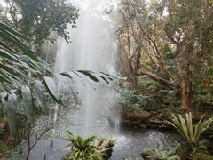 -绿光森林餐厅