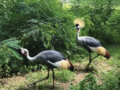 -秦皇岛野生动物园