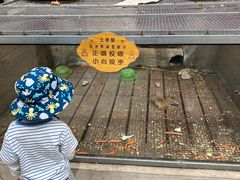 -北京鹿世界主题园
