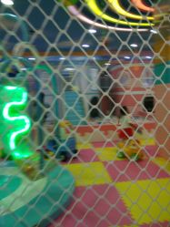 -胜利乐园(胜利购物广场店)