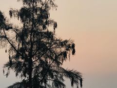 -观唐（国际）度假村温泉