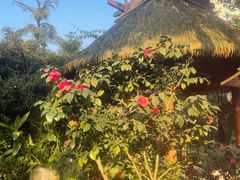 -海兰云天度假区温泉