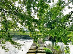 -中国天府农业博览园