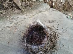 -北京上方山国家森林公园