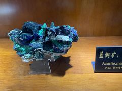 -青岛德国总督楼旧址博物馆