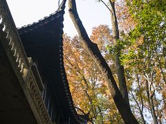 -西湖风景区十里琅珰-五云山