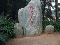 -武汉大学-樱园