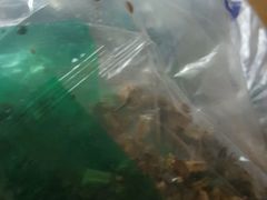 -上海市中医医院(芷江路院区)