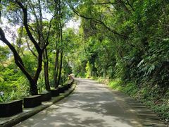 -梧桐山风景名胜区