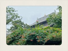 -龙华寺