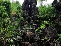 -梭布垭石林景区