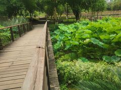 -沐仙湖湿地公园