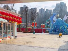 -海合安成都极地海洋公园