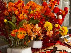 -秘密花园·换装下午茶·团建·沙龙·主题布置