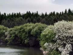 -塞罕坝国家级自然保护区