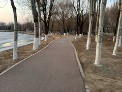 -丁香湖公园