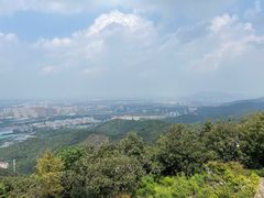 -杭州半山国家森林公园