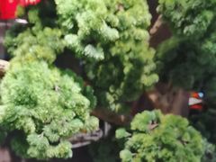 -重庆德庄火锅(映月湖环宇城店)