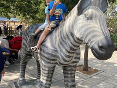 -石家庄市动物园