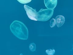 -多彩贵州城极地海洋世界