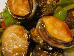 船歌辣炒小鲍鱼-船歌·鱼水饺青岛菜(闽江二路店)