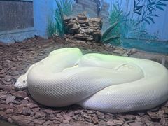 -石家庄市动物园