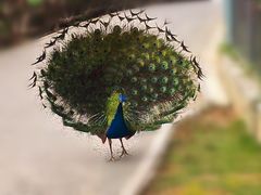 -黔灵山公园-南门售票处