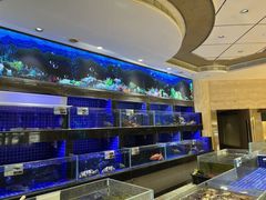 -粤珍轩.创始店.始于2001(含光门店)