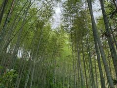 -千泷沟大瀑布旅游区