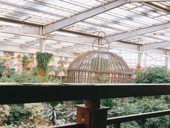 -南宫五洲植物乐园