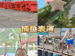 -南丫岛