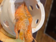 -黑松白鹿(金融街店)