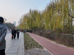 -南翠屏公园