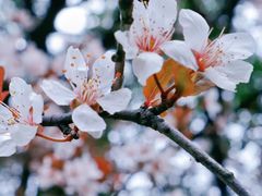 -浙江万里学院(钱湖校区)