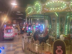 -卡通尼·Safari非洲探索乐园·生日会(金桥国际商业广场店)