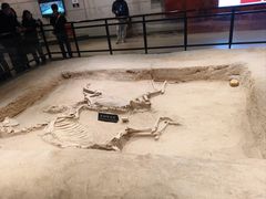 -洛阳周王城天子驾六博物馆