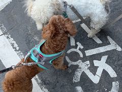 -庄稼人(蓝岸3G店)