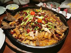 老板恋上鱼-老板恋上鱼(高新万达店)