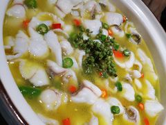 青花椒一代（小分）-青花椒花椒鱼(合生汇店)