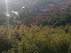 -天下玉苑