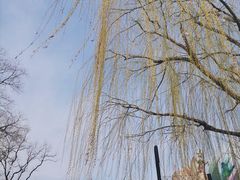 -老门东历史文化街区