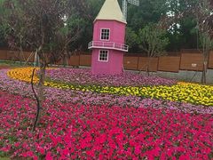 -仙海旅游度假区