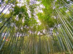 -海窝子古镇