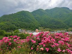 -镇坪县曙坪小学