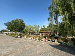 -东台西溪天仙缘景区