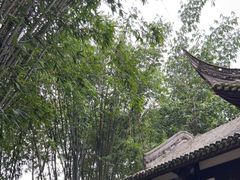 -望江楼公园