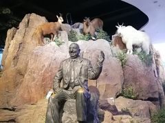 -陕西自然博物馆