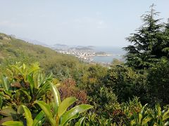 -石老人观光园